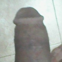 tayeb378494's avatar